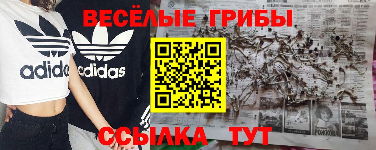 Псилоцибиновые грибы ЛСД Ишимбай