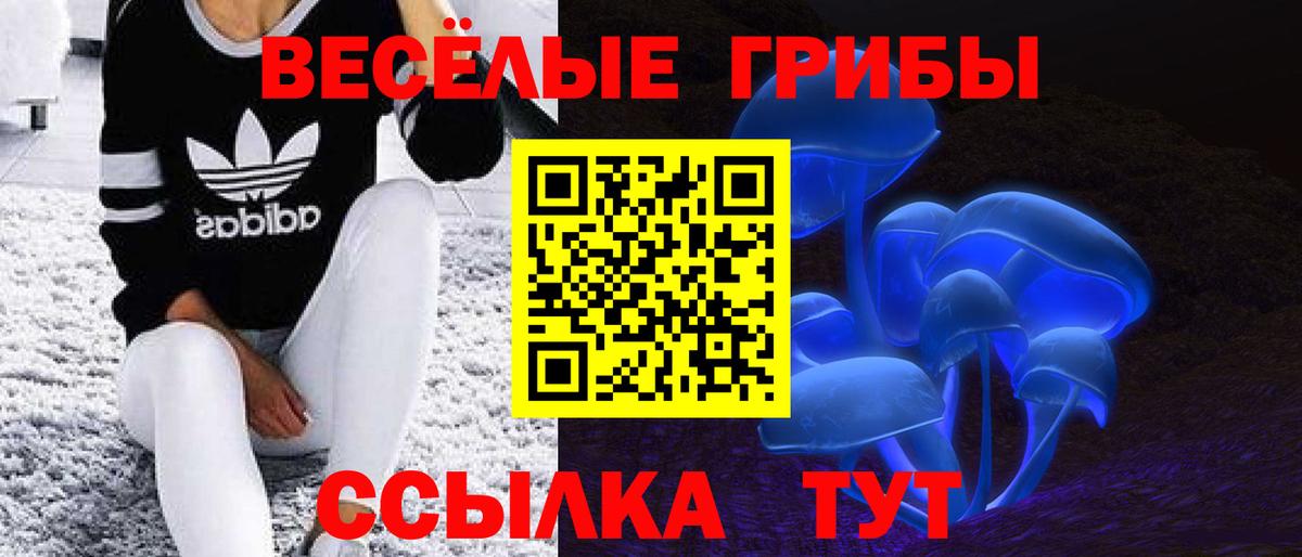 Ишимбай  Псилоцибиновые грибы прущие грибы  Галлюциногенные грибы мухоморы  Вход с VPN 